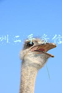 滨州二手房信息