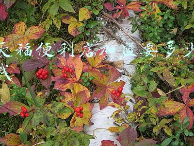 天福便利店官网电话_天福便利店官网
