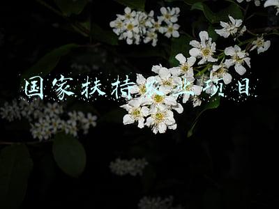 国家农业扶持项目汇总(国家给钱并扶持建设的4类农业项目，最高补贴可达到10个亿！)