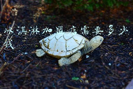 冰淇淋加盟店连锁有哪些(冰淇淋加盟店连锁有哪些品牌)