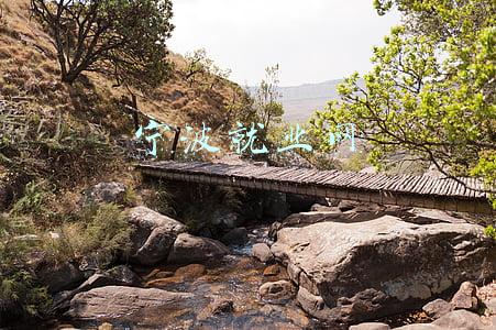 宁波就业网官网(明日起，恢复！宁波最新通知)