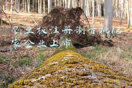 创业板注册制上市的公司(18家创业板注册制新股上市，全线大涨，市值增千亿)