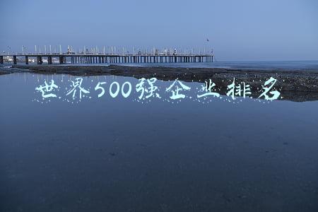 世界500强企业排名