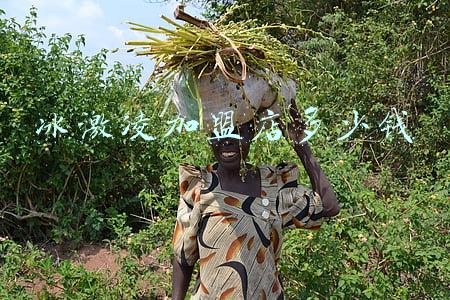 冰激凌加盟店连锁店 品牌冰激凌店加盟