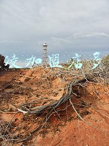 冰激凌加盟店哪家好 冰激凌店加盟品牌哪个好