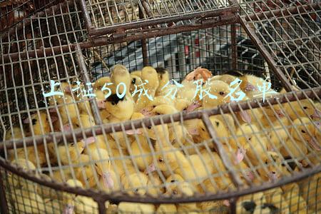 上证50样本股名单(上证50等指数样本股更新生效在即，9只券商股调出、医药股成赢家)