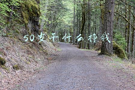 50岁干什么挣钱这5种选择推荐给你(50岁以后的人，如何快速积累财富？先做好这几点)