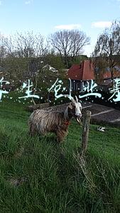 大学生创业基金