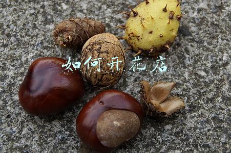 如何开花店进货渠道(开花店那些事儿｜花店进货渠道选择全攻略)
