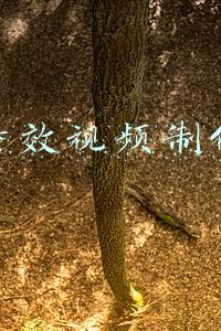 古装特效视频制作软件