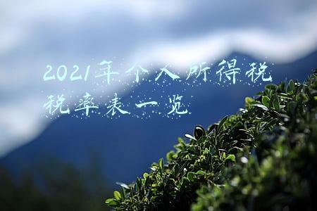 2021年个人所得税税率表一览