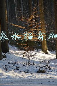 矿泉水招商加盟