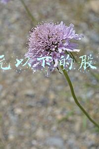 5元以下的股票现在哪只股票好点(A股：高低切换，汰弱留强，十大消费行业低估值5元左右低价股)