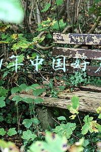 2021年中国好声音冠军(“湾区靓女”伍珂玥问鼎2021“中国好声音”冠军)