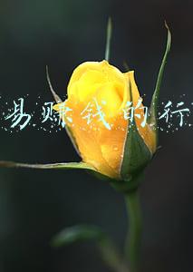 容易赚钱的行业