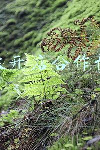 合伙开店合作协议