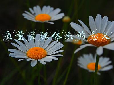 质量管理体系到底是什么(一文掌握全部质量管理体系知识精华)