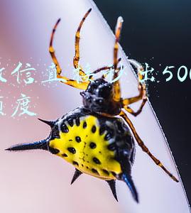 微信直接秒出5000额度不审核的网贷(微信版“花呗+借呗”的小鹅花钱究竟是个什么鬼！)