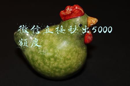 微信直接秒出5000额度微信小额贷款秒到账(满足脱贫人口需求 小额信贷“五步走”)