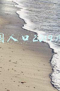 美国人口2019几亿