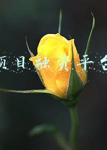靠谱的项目融资平台(36氪首发 | 构建一站式API协作平台，「ApiPost」获高瓴创投数千万元Pre-A轮融资)