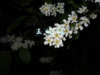 王暖暖