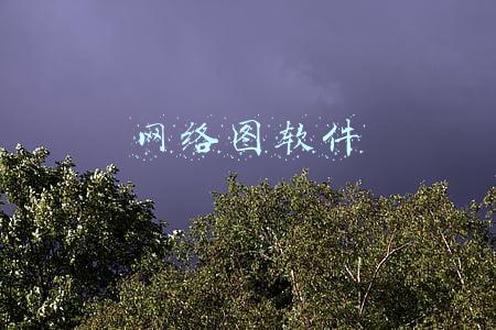 网络图软件