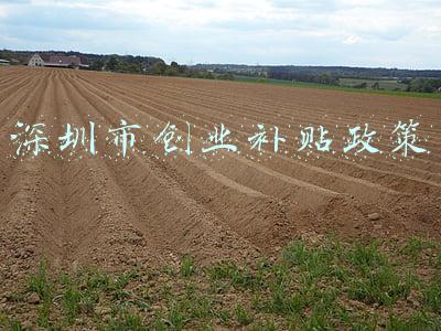 深圳市创业补贴政策在哪里申请(深圳市创业补贴申请流程以及深圳申请创业补贴网上怎么办理)
