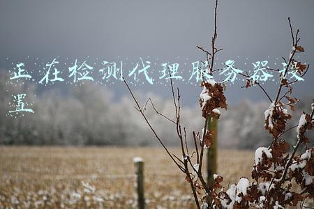 正在检测代理服务器设置