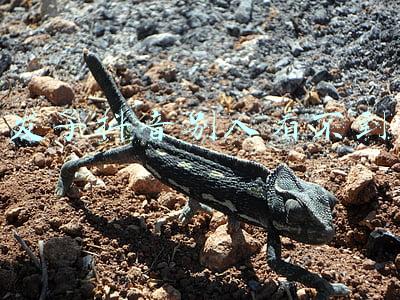 发了抖音别人看不到