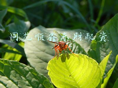 同花顺鑫东财配资