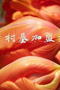 乡村基加盟费