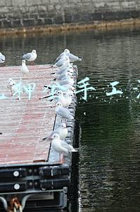 免押金手工活