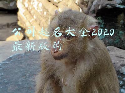公司起名大全2020最新版的四个字(新注册公司名字推荐，公司取名2020最佳技巧分享)
