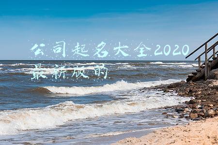 公司起名大全2020最新版的科技公司(2020有创意的公司名字大全)