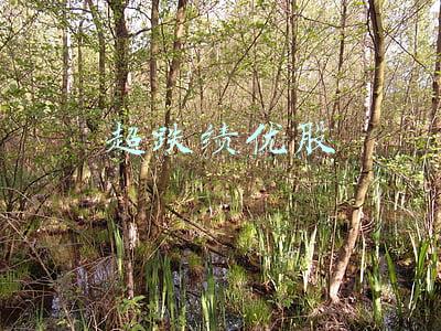 超跌绩优股