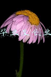 应届毕业生创业贷款