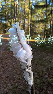 初级人力资源管理师(为什么都在考人力资源管理师证书？含金量有多高？)