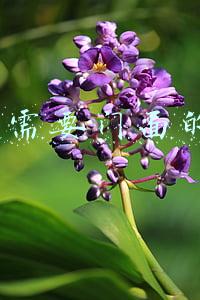 9个不需要门面的生意