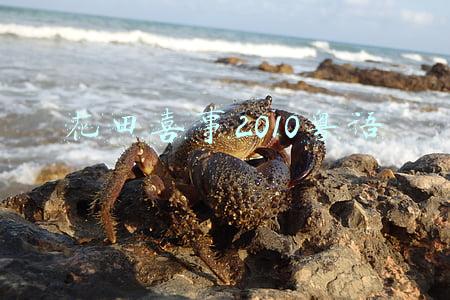 花田喜事2010粤语