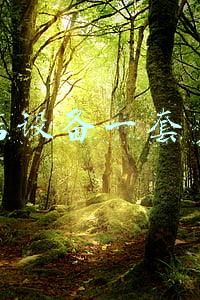 干洗店设备一套多少钱