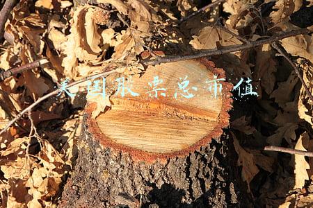 美国股票总市值2019(10年增9倍：苹果公司市值一度突破3万亿美元大关)