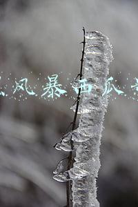 扫黑风暴西瓜影院