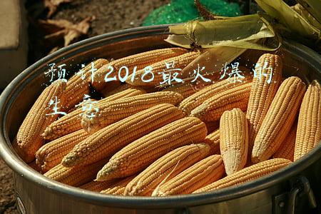 预计2018最火爆的生意