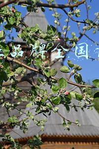 集成灶十大品牌排名(集成灶十大知名品牌排行榜哪个值得购买？看完本文再做选择)