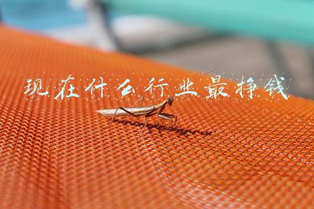 现在最挣钱的10大行业(2021薪酬最高的十个行业：券商第一，人均月薪酬 5.6万)