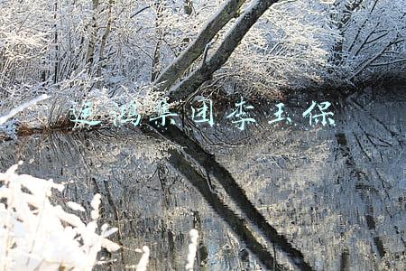 运鸿集团李玉保个人资料(中国运鸿控股董事局主席李玉保当选世界生产力科学院院士)
