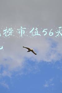海底捞市值56天跌2000亿小(海底捞市值56天暴跌2000亿港元，悄悄“涨价”？网友：真掉海底了！你怎么看？)