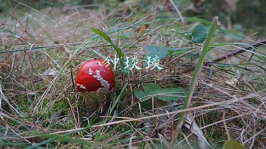 钟琰琰
