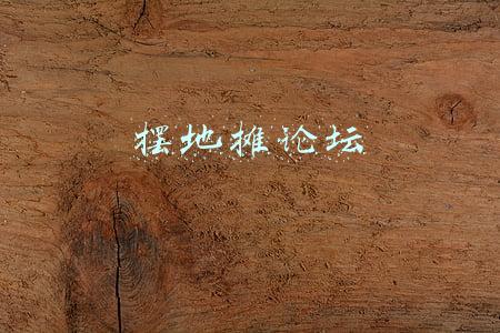 摆地摊论坛